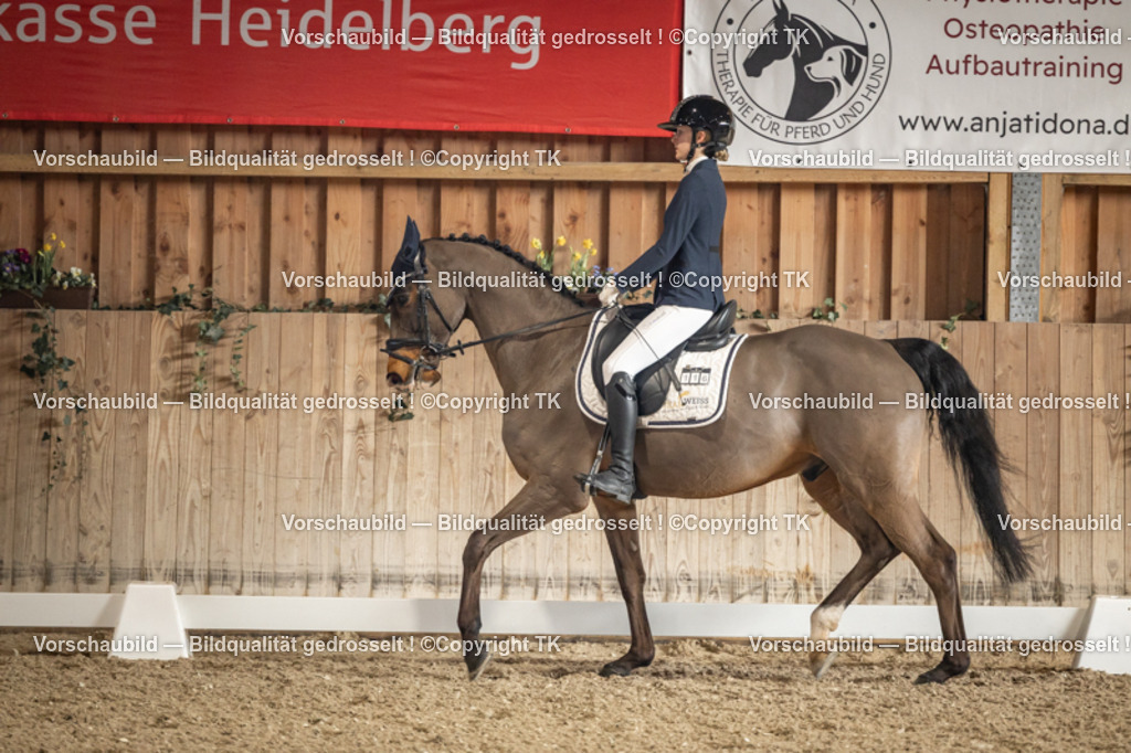 _D5A1143 | Emotionale Pferde- & People-Fotografie rund um Heidelberg, Leimen & Umgebung. Natürliche Fotos von Pferd, Mensch & Familie. Jetzt Termin sichern!