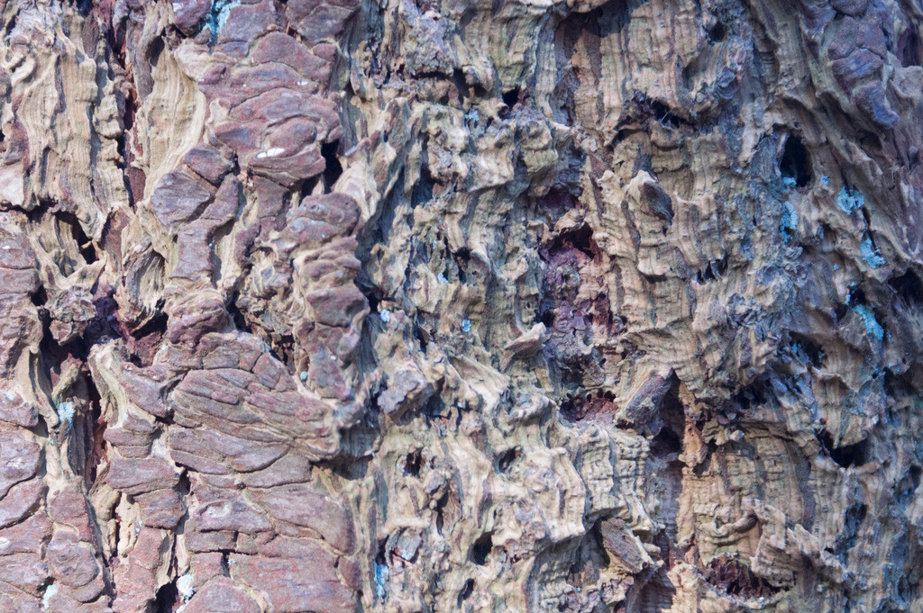 82 | KONICA MINOLTA DIGITAL CAMERA