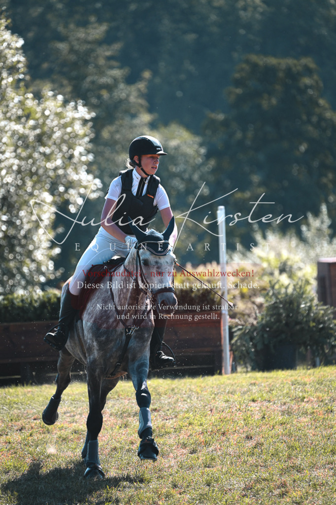 DSC_7845 | Pferde- und Turnierfotografie in Westsachsen. Pferdeportraits, Auftragszeichnungen und intuitive Kunst.