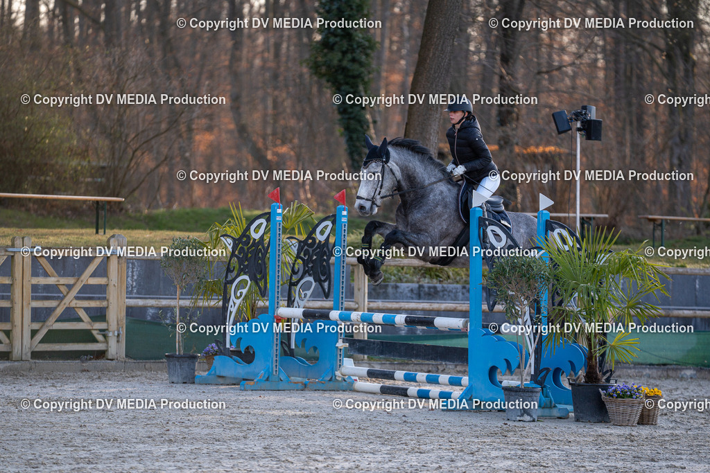 DSC-236 | dv-media-shop - Realisiert mit Pictrs.com