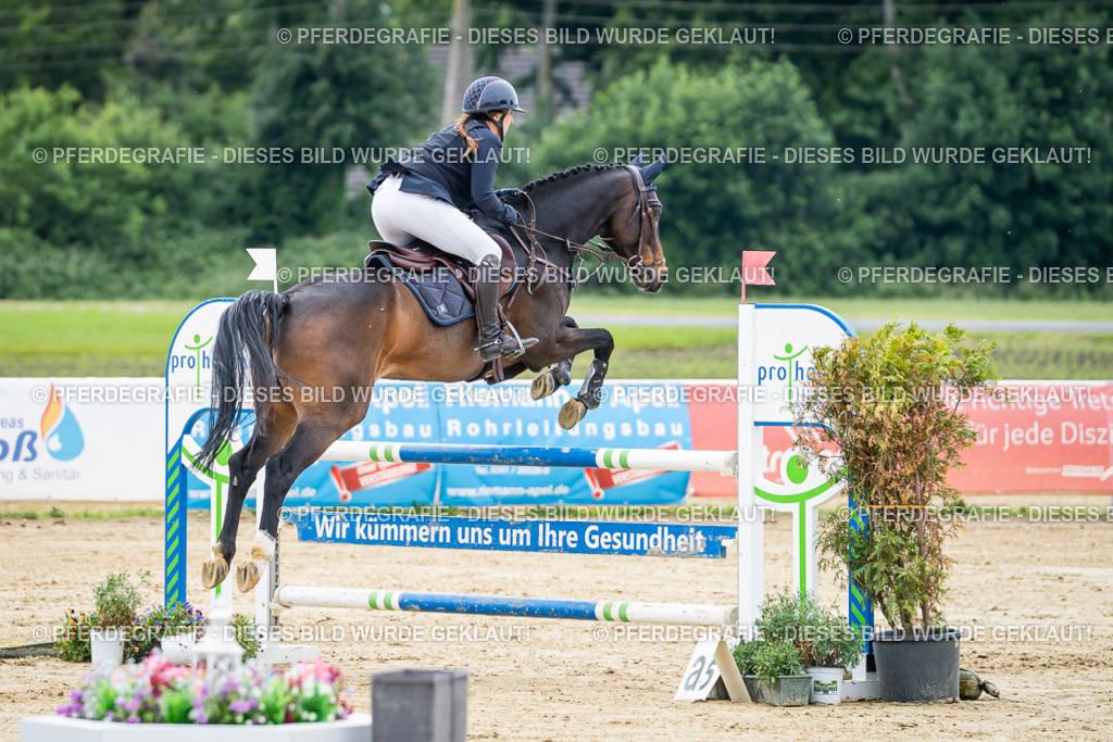 DSC05062 | Pferdegrafie