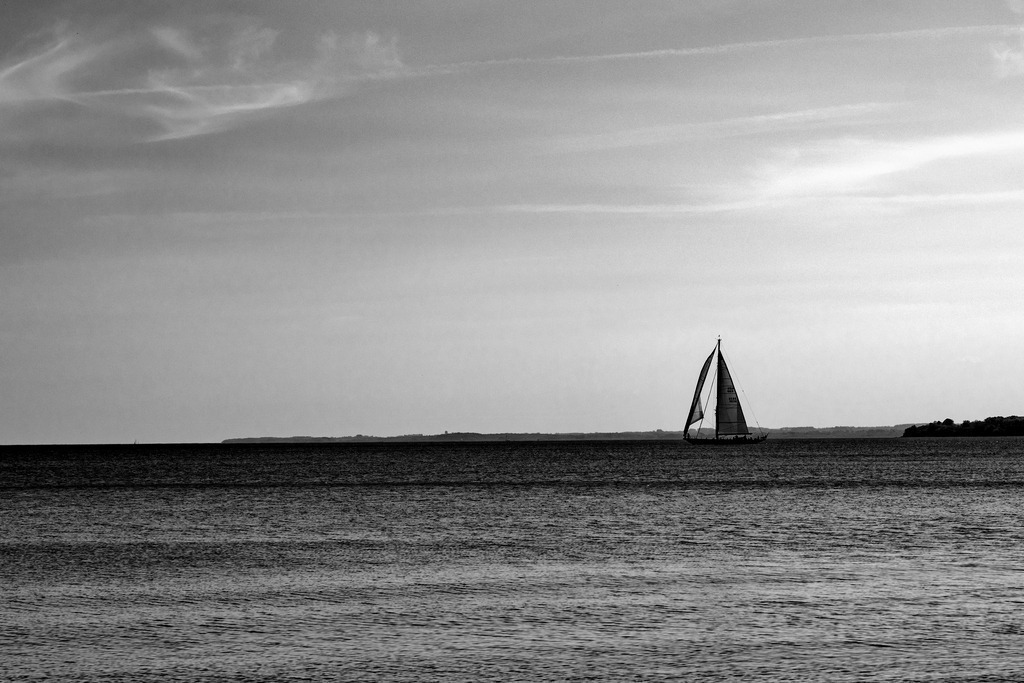 IMG_6257sw | codoma - Realisiert mit Pictrs.com