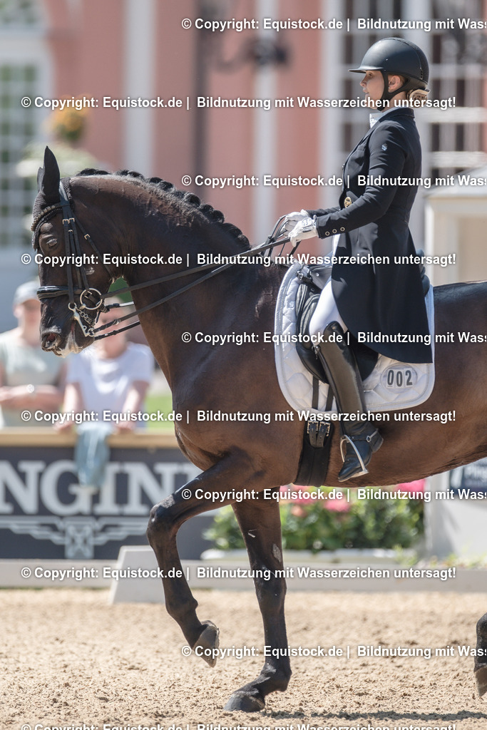 20230529_29_Louisdor_0132 | equistock