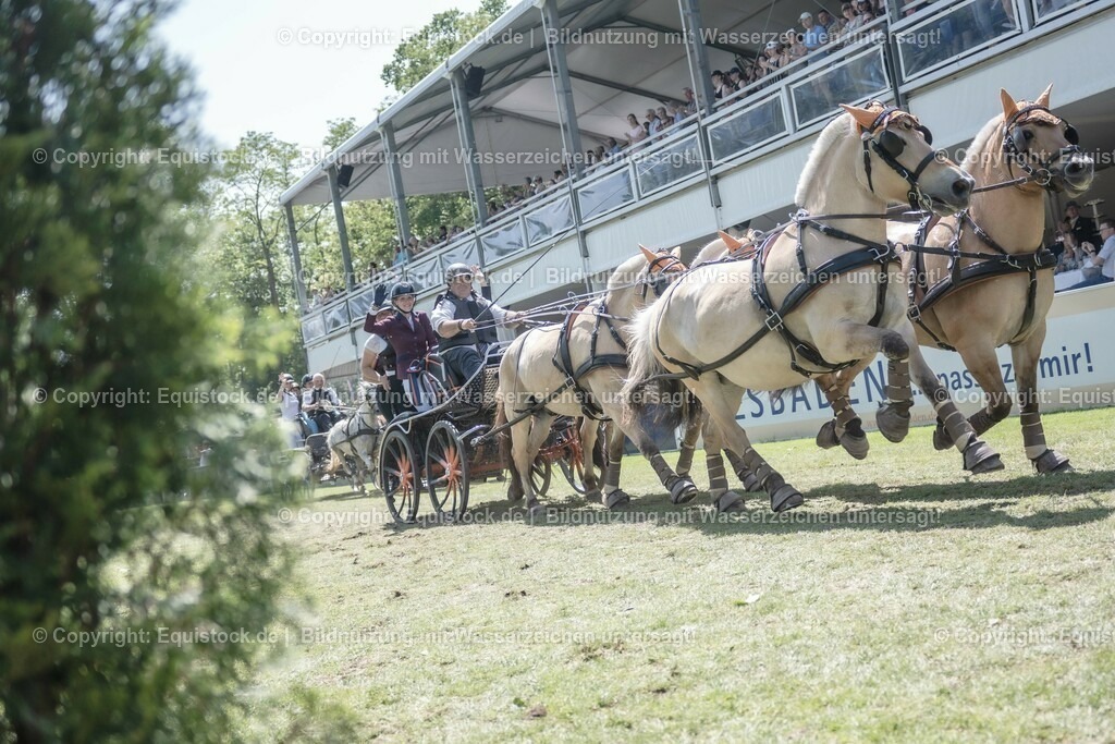 20230528_Jump-and-Drive_0263 | equistock