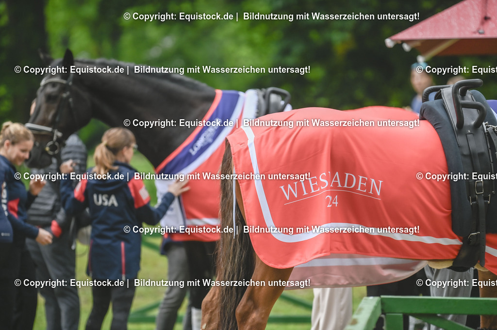 20240519_Voltige_1045 | Foto: Thomas Hartig