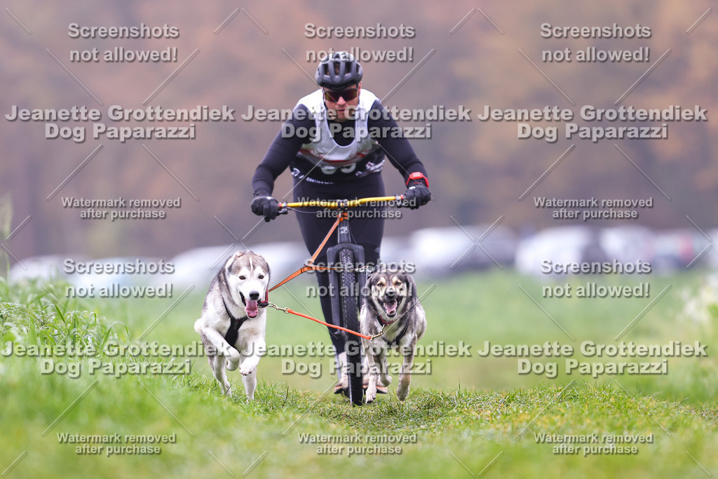 Dog Paparazzi - Visbeck 25 -72 | Dog Paparazzi Jeanette Grottendiek Fotografie & Videografie - Realisiert mit Pictrs.com