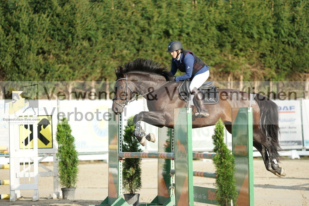 DSC01545 | equestrian-live-com