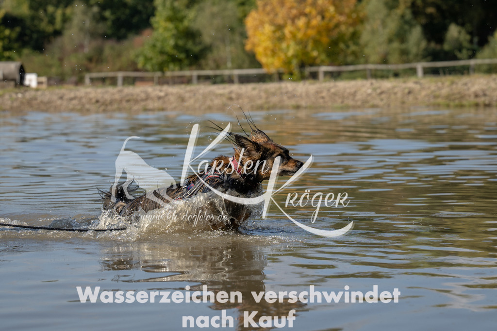 1405_ZZ91706 | kk-dogfotos