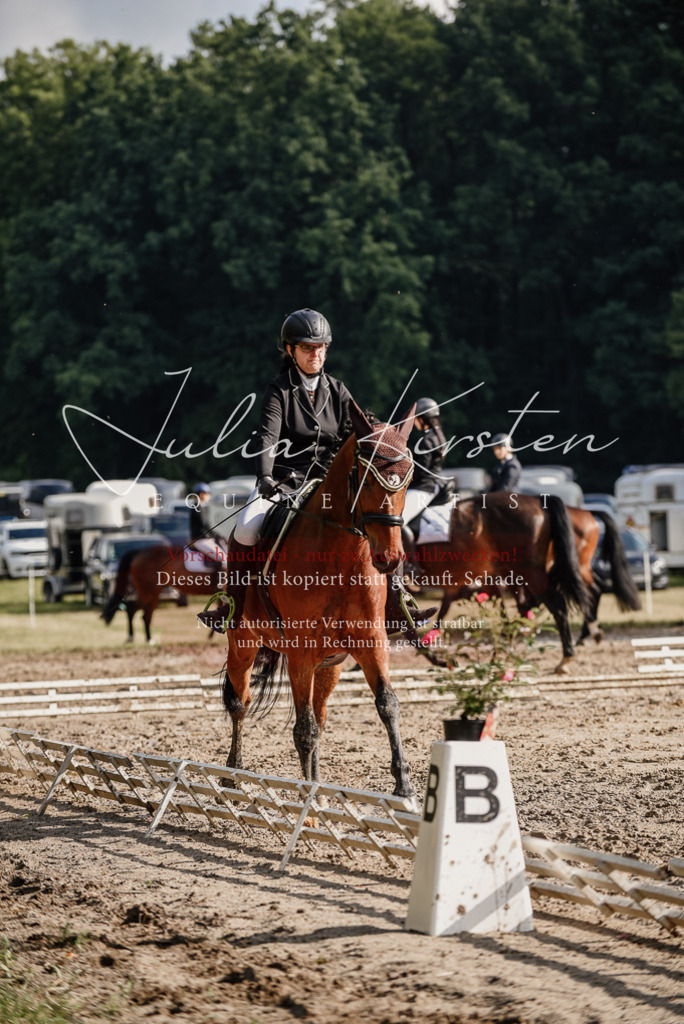DSC_8526 | Pferde- und Turnierfotografie in Westsachsen. Pferdeportraits, Auftragszeichnungen und intuitive Kunst.