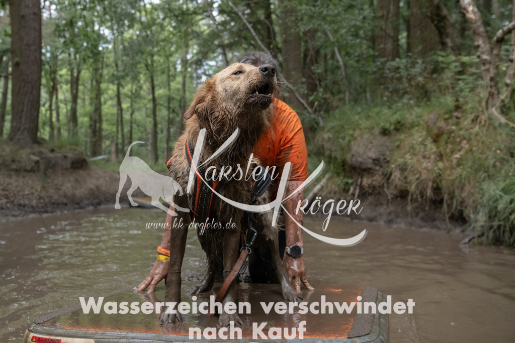 1345_ZZ95739 | kk-dogfotos