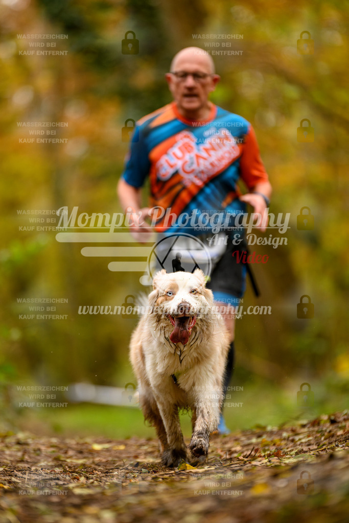 MompixPhotography_Bischwiller24_SA_Canicross-183 | mompixphotography