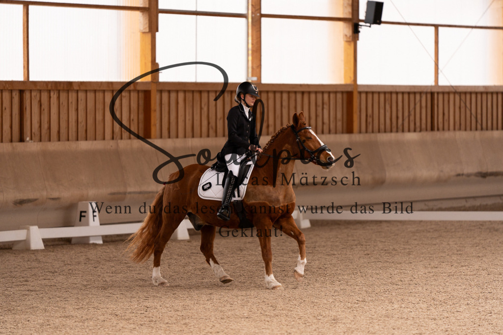A7506919 | Turnier/Reitfotograf