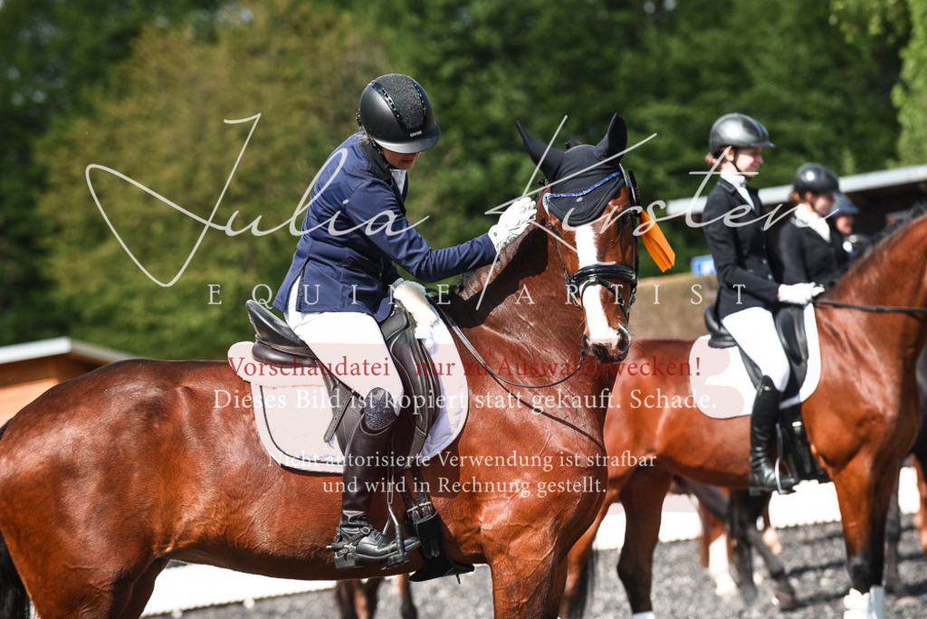 DSC_9078 | Pferde- und Turnierfotografie in Westsachsen. Pferdeportraits, Auftragszeichnungen und intuitive Kunst.