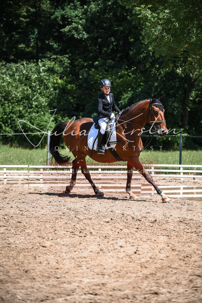 DSC_3008 | Pferde- und Turnierfotografie in Westsachsen. Pferdeportraits, Auftragszeichnungen und intuitive Kunst.