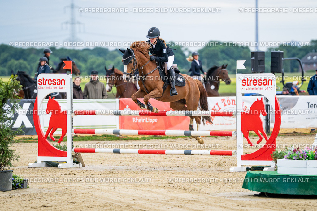 DSC04424 | Pferdegrafie