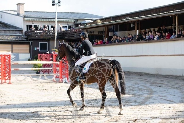 2B4A3775 | pixelfaenger - Realisiert mit Pictrs.com