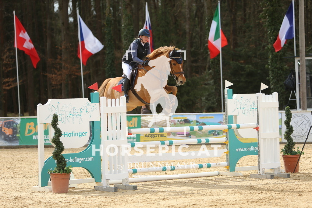 DL2Q9127 | Willkommen bei Brunnmayr - Design & Fotografie – Ihrem Spezialisten für Reitturniere und Pferdeveranstaltungen in Oberösterreich, Salzburg und Bayern! Seit über 17 Jahren sind wir leidenschaftlich dabei.