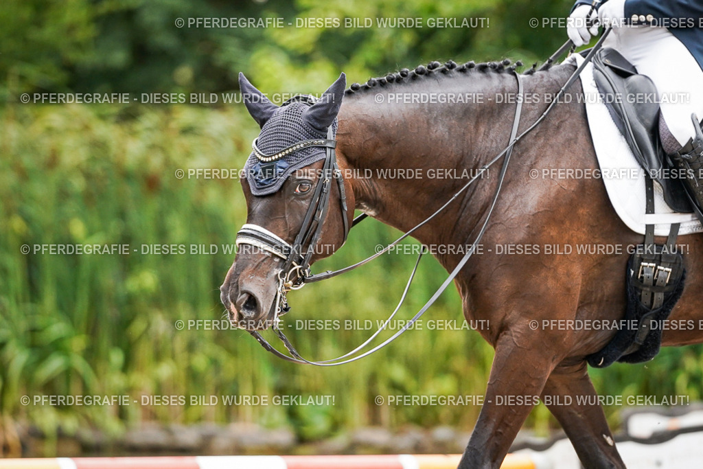 DSC07477 | Pferdegrafie