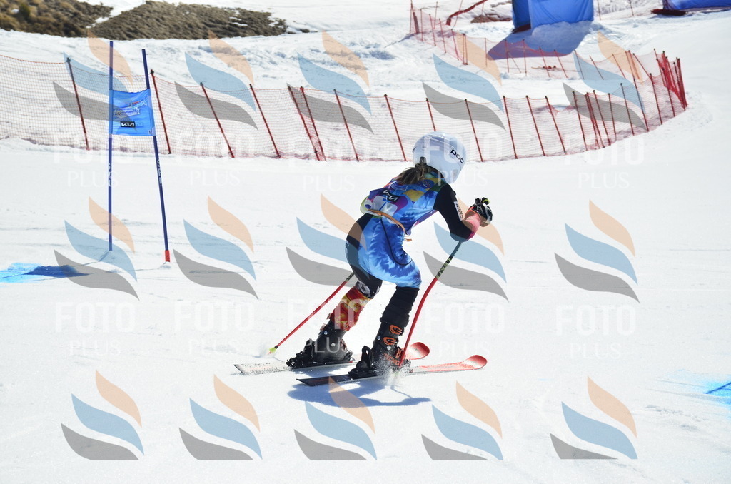 _ELE9760 | holidayphoto