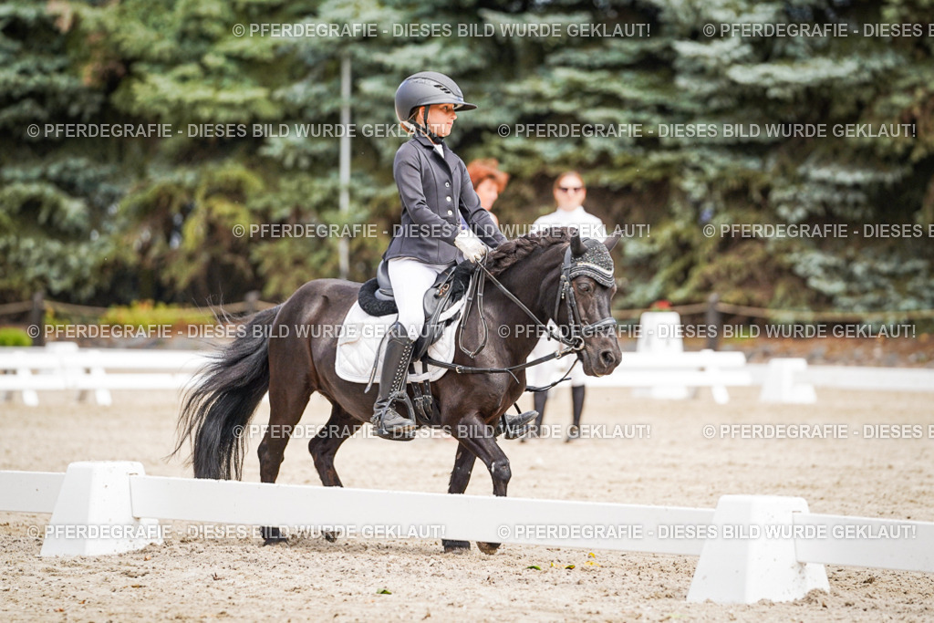 DSC02761 | Pferdegrafie