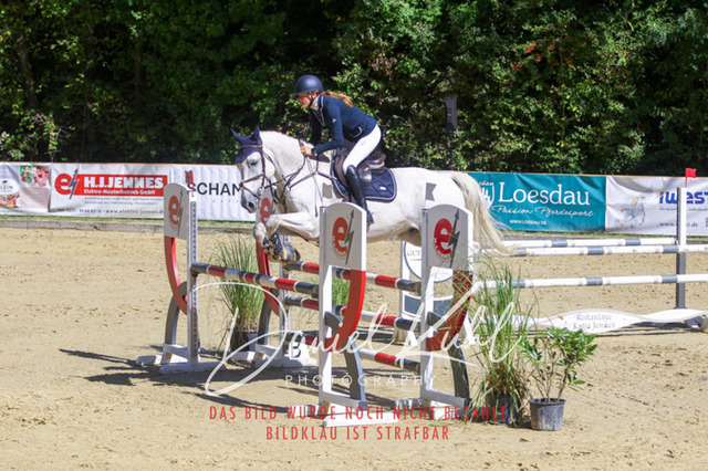 DKP43161 | Turniersportfotografie; Pferdefotografie; Dressurfotografie