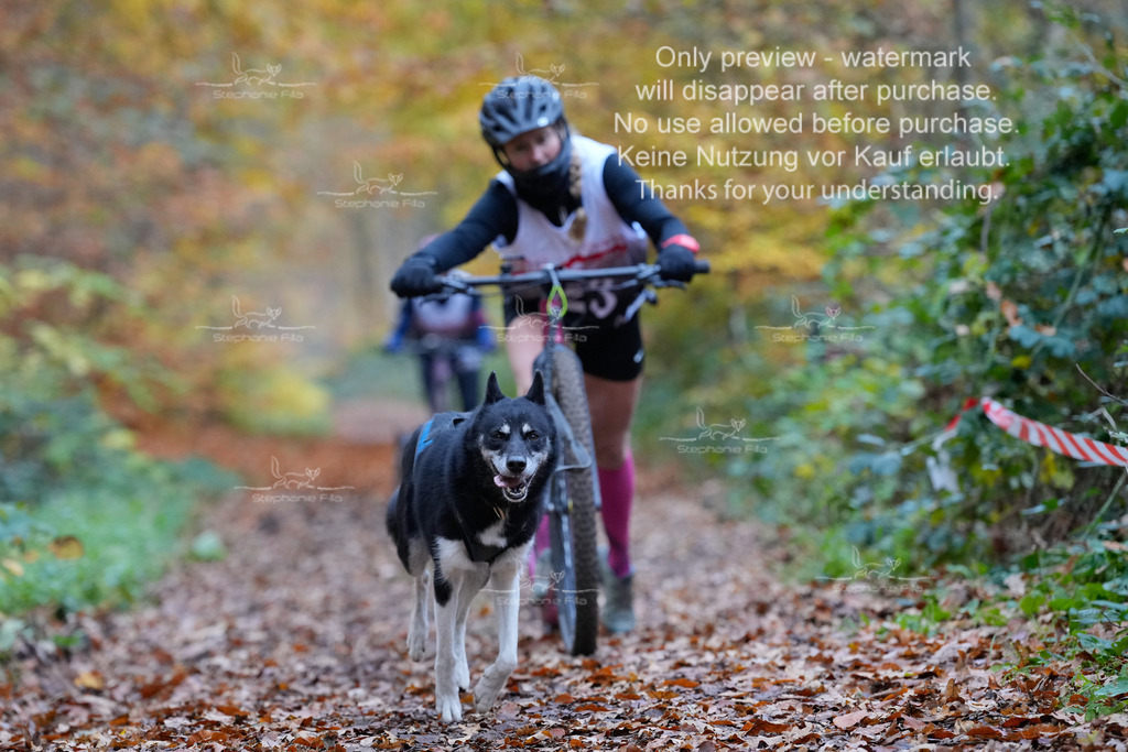 Scooter_So-77 | stephaniefillaphotographie - Realisiert mit Pictrs.com