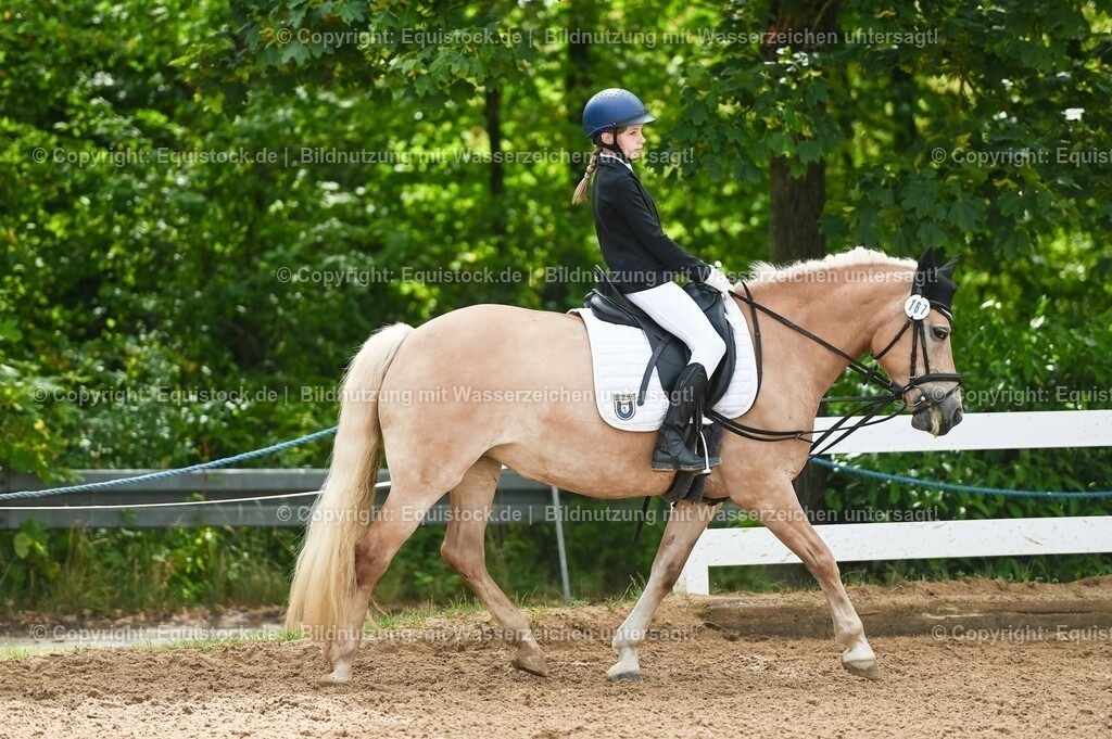 20230716_10-2_Reiter-WB Schritt - Trab - Galopp_0029 | equistock