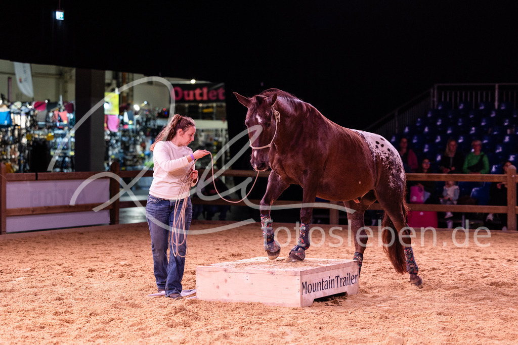 846A6815 | fotosleben - Realisiert mit Pictrs.com