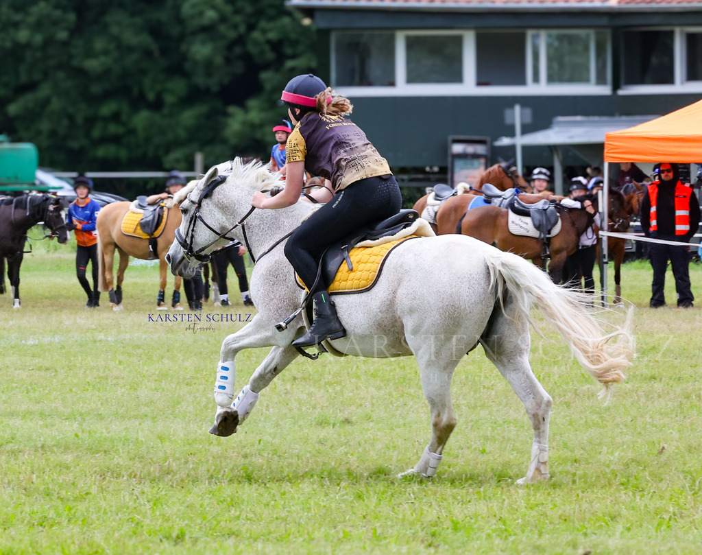 1B3A0918 | Reitsport Reiten