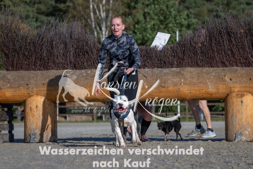 1049-_ZZ92840 | kk-dogfotos