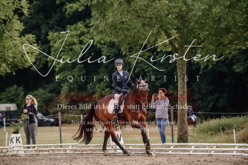 DSC_8647 | Pferde- und Turnierfotografie in Westsachsen. Pferdeportraits, Auftragszeichnungen und intuitive Kunst.