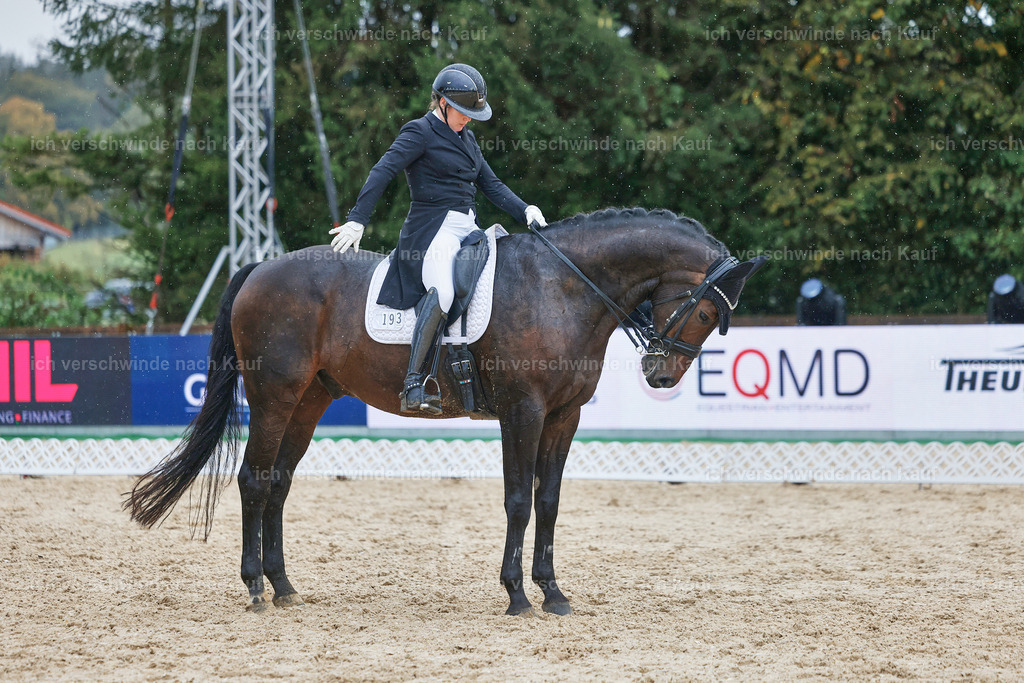 8_2-193-DRESSUR S_  -StoibPH-4506 | working equitationturnier fotograf videograf stoibphotography marixx film working equitation deutschland reitsport turnierfotografie eventfotografie equestrian events