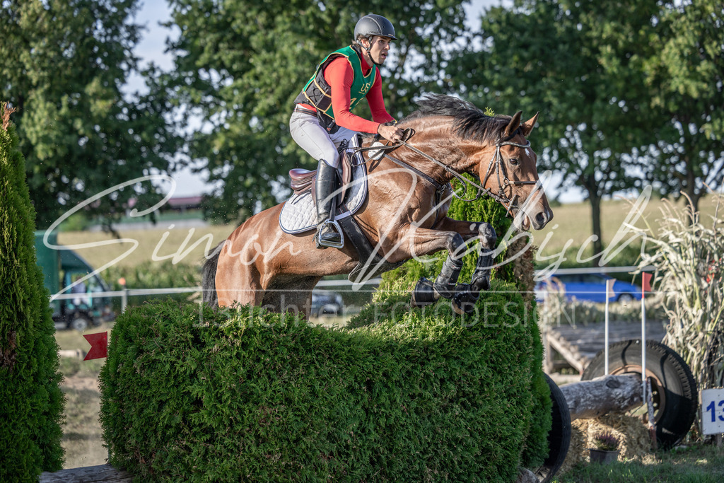 20250907-_3LI4615 | Tierfotografie Pferde, Hunde, Katzen, Haustiere.
Turnierfotografie Reitturniere, Reiten, Springreiten, Dressur in Hanau, dem Main-Kinzig-Kreis und dem Rhein-Main- Gebiet um Frankfurt