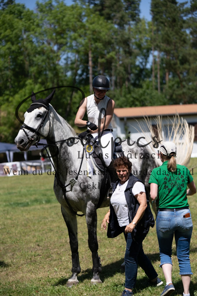 A7V06239 | Pferdefotograf