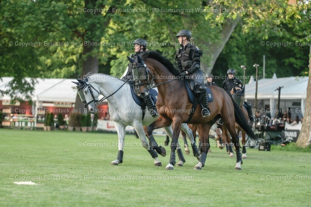 20230526_Pferdenacht_0412 | equistock