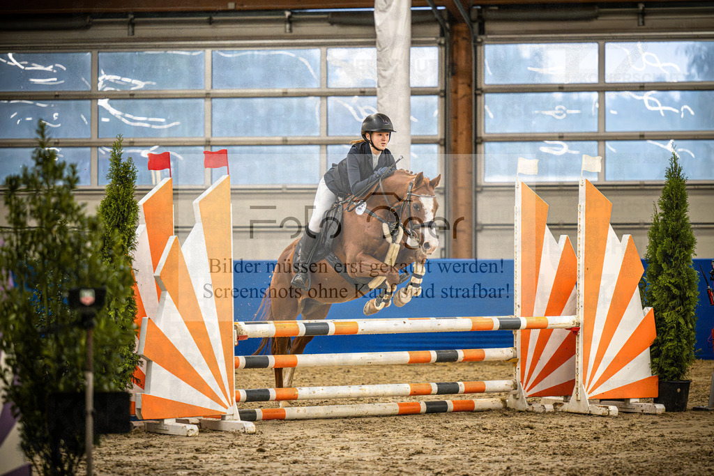 DOS_1147 | Entdecke hochwertige Reitturnierfotos von Foto Oger. Professionell, emotional und authentisch – jetzt Lieblingsmomente im Shop bestellen.Deutschlandweite Turnierfotografie. - Realisiert mit Pictrs.com
