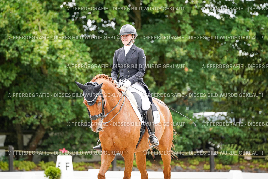 DSC05335 | Pferdegrafie