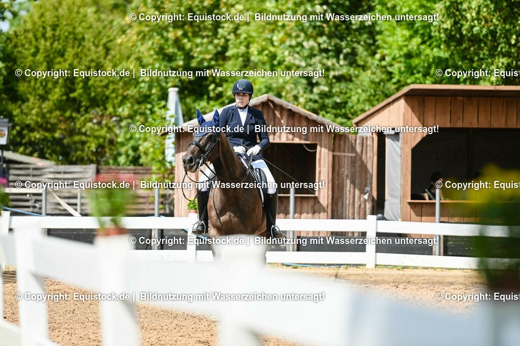20230716_01_Dressurprüfung Kl.M_0309 | equistock