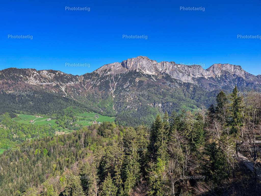 IMG_2116 | phototaetig