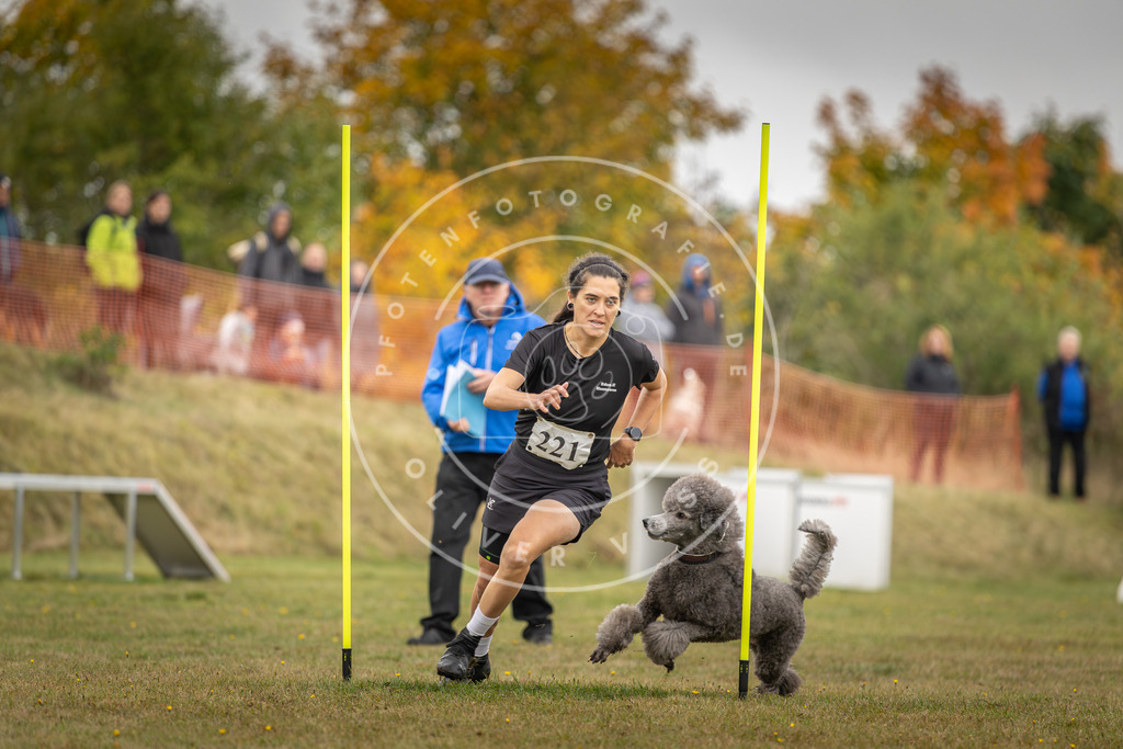 Pfotenfotografie_DV3A3752 | Hundefotografie, Tierfotograf, Pfotenfotografie, Fotoshooting Hund, Hunde Portrait, Hundesport, Hundeportraits, Heideshooting, Hunde, Sportfotograf, Hundefotograf, Turnierhundsport, THS,  - Realisiert mit Pictrs.com