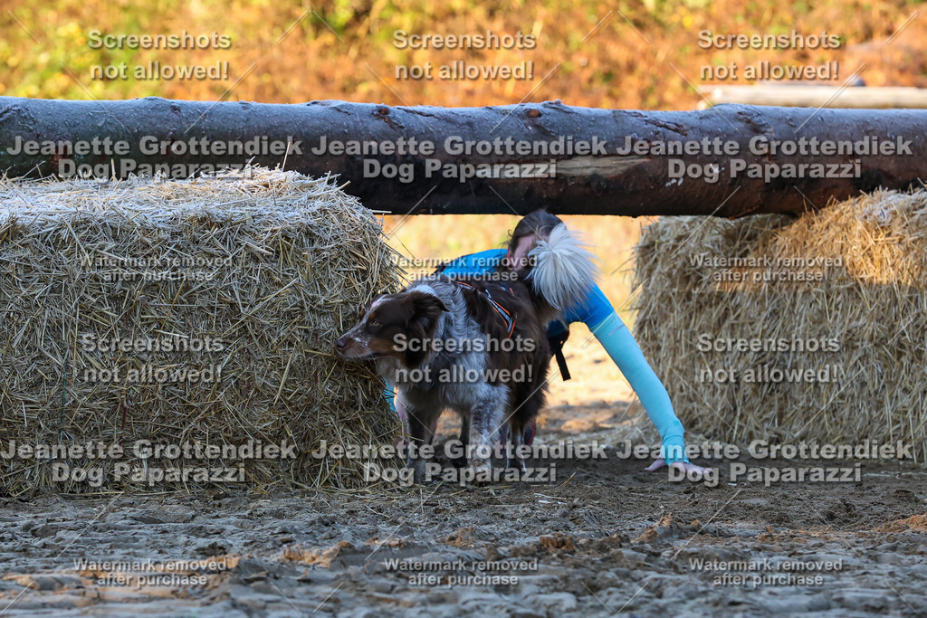 Dog Paparazzi - Strongdog 10-25-523 | Dog Paparazzi Jeanette Grottendiek Fotografie & Videografie - Realisiert mit Pictrs.com