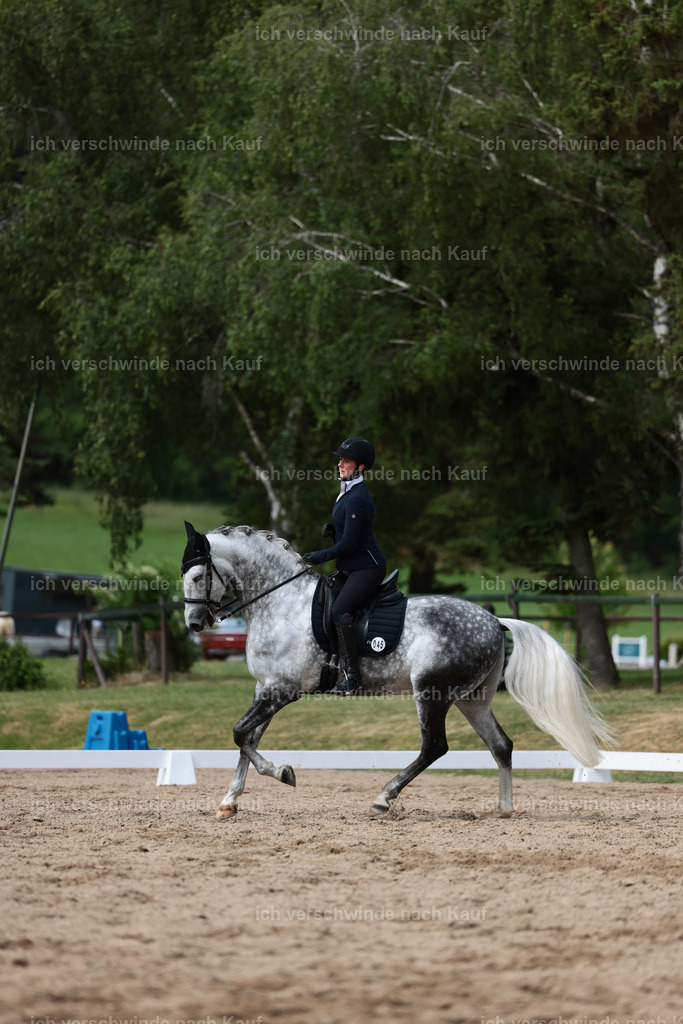 Masterclass_stoibphotography_C2_L5118.JPG | working equitationturnier fotograf videograf stoibphotography marixx film working equitation deutschland reitsport turnierfotografie eventfotografie equestrian events