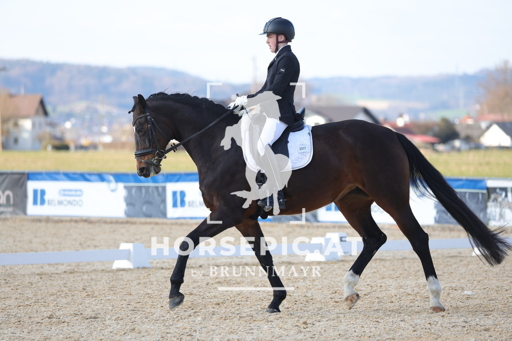 0P6A8014 | Willkommen bei Brunnmayr - Design & Fotografie – Ihrem Spezialisten für Reitturniere und Pferdeveranstaltungen in Oberösterreich, Salzburg und Bayern! Seit über 17 Jahren sind wir leidenschaftlich dabei.