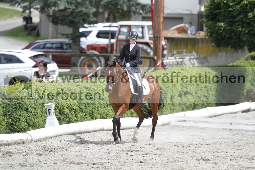 _MG_8921 | equestrian-live-com