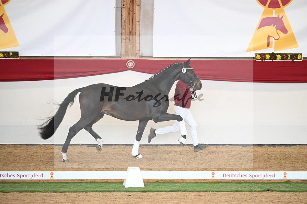 Kat.-Nr. 75 v. Santos_Greim_2250825 | hf-fotografie - Realisiert mit Pictrs.com
