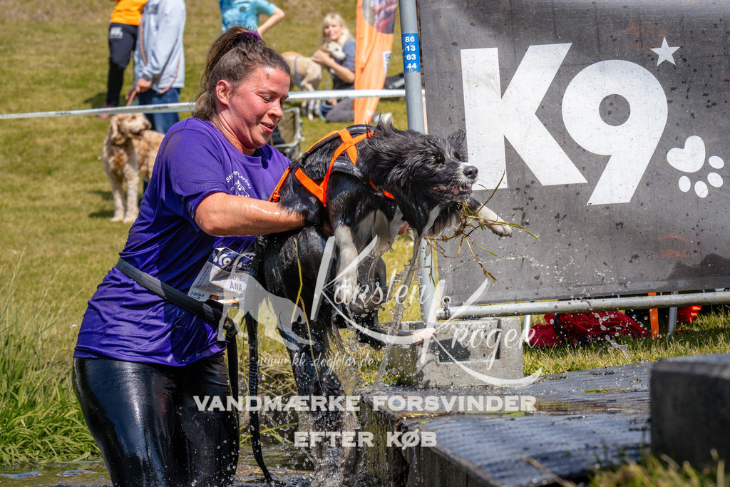 _ZZ976141030 | kk-dogfotos