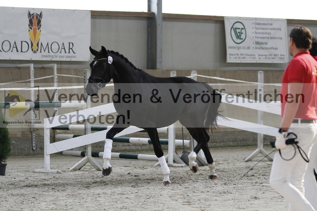_MG_9521 | equestrian-live-com