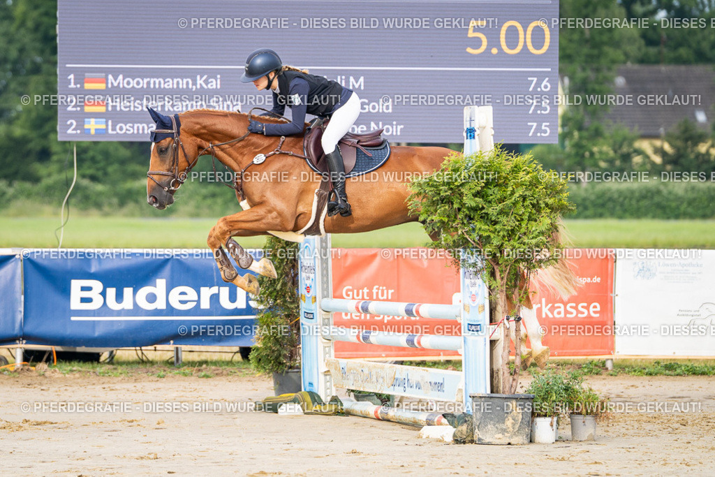 DSC07908 | Pferdegrafie