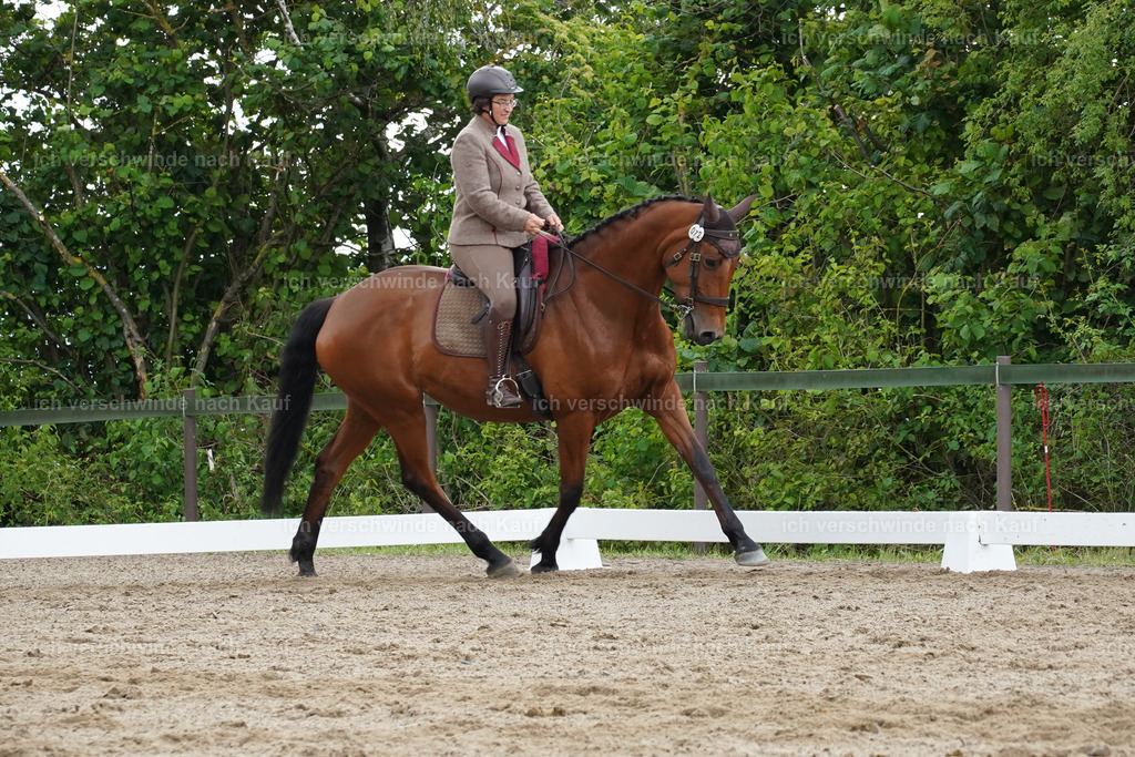 KlasseL_Lucie995 | working equitationturnier fotograf videograf stoibphotography marixx film working equitation deutschland reitsport turnierfotografie eventfotografie equestrian events