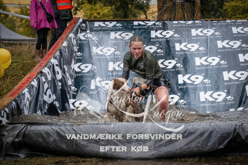 1245_ZZ90485 | kk-dogfotos